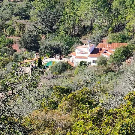 Feriehus Casa Vale Vinagre- Schoene In Der By Interhome *